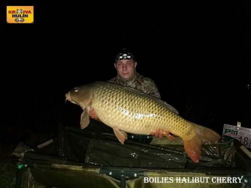 Boilies halibut/cherry