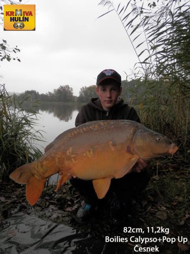 82cm, 11,2kg, boilies Calypso, pop up Česnek, svazová voda