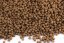Plovoucí krmivo KOI - Wheat germ - Ø 6 mm - Vyberte balení: 1 kg