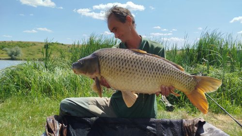 Boilies Mefisto