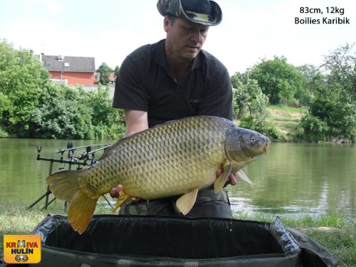 83cm, 12kg, boilies Karibik