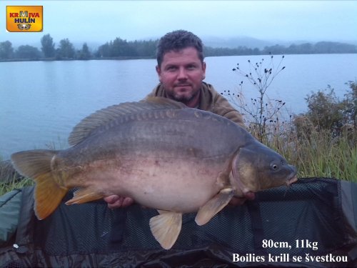 11kg, boilies krill se švestkou vlastní výroby