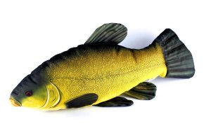 Plyšová ryba Gaby - LÍN OBECNÝ - 60 cm (Gaby, PRLO10) | Krmiva Hulín Plyšová ryba Gaby - LÍN OBECNÝ - 60 cm (Gaby, PRLO10) | Krmiva Hulín