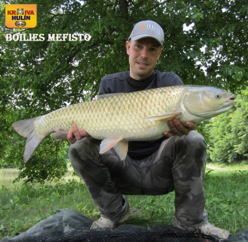 Boilies Mefisto
