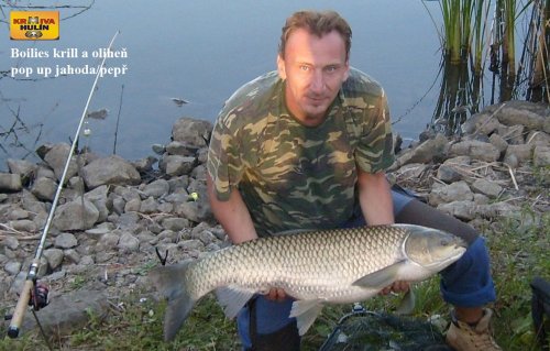 Boilies krill/oliheň, pop up jahoda/pepř