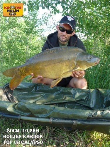 80cm, 10,2kg, boilies Karibik neutrálně vyvážené, pop up Calypso, svazová voda