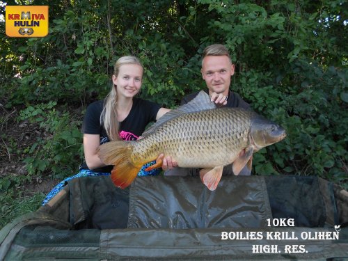10kg, boilies Krill/Oliheň high resistance, svazová voda