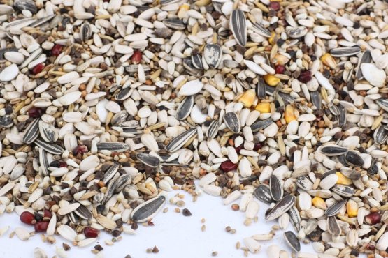 Krmivo Avest - PRO VELKÉ PAPOUŠKY 17 - Vyberte balení: 1 kg