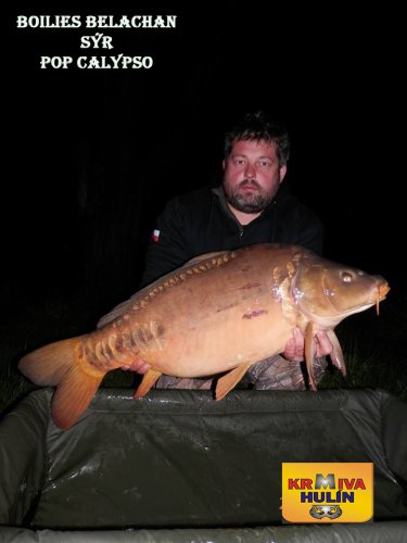 14kg, boilies Belachan/Sýr, pop up Calypso, svazová voda