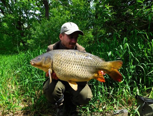 Boilies Pikantní jahoda