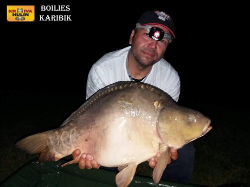 Boilies karibik