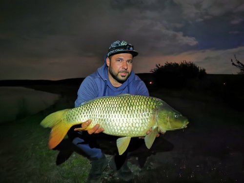 Dipované boilies Pikantní jahoda