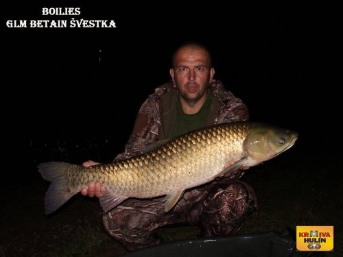GLM betain se Švestkou