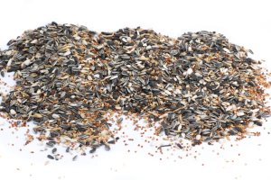 Krmivo Avest - PRO STŘEDNÍ PAPOUŠKY 08 (Avest, KPSP08-1) | Krmiva Hulín Krmivo Avest - PRO STŘEDNÍ PAPOUŠKY 08 (Avest, KPSP08-1) | Krmiva Hulín