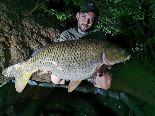 12kg, boilies Krill se švestkou