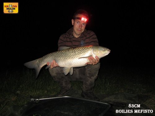 83cm, boilies Mefisto