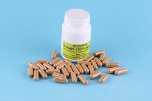 SILYMARÍN + LECITÍN - kapsula 500 mg (Krmiva Hulín, SILK-1) | Krmiva Hulín SILYMARÍN + LECITÍN - kapsula 500 mg (Krmiva Hulín, SILK-1) | Krmiva Hulín