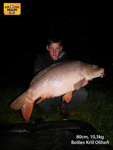 80cm, 10,3kg, boilies Krill/Oliheň, svazová voda