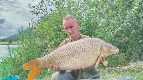 Boilies Švestka a Česnek