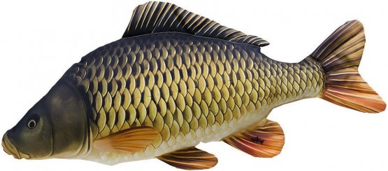 Plyšová ryba Gaby - KAPR ŠUPINATÝ - 65 cm