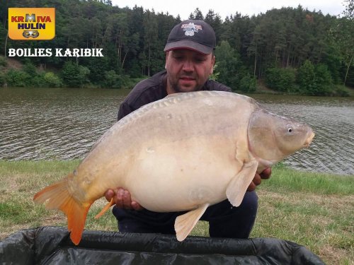 Boilies Karibik