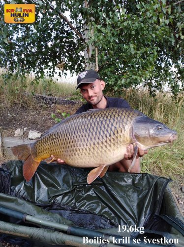 19,6kg, boilies krill se švestkou