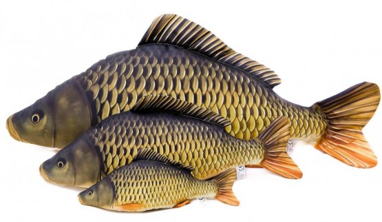 Plyšová ryba Gaby - KAPOR ŠUPINATÝ - mini 36 cm