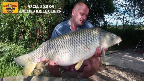 98cm, 20,5kg, boilies Krill/Oliheň