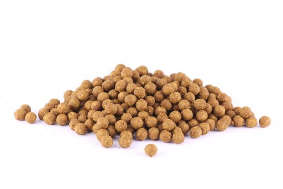 Boilies - TYGŘÍ OŘECH - Ø 12 mm (Krmiva Hulín, BOTO12-1) | Krmiva Hulín
