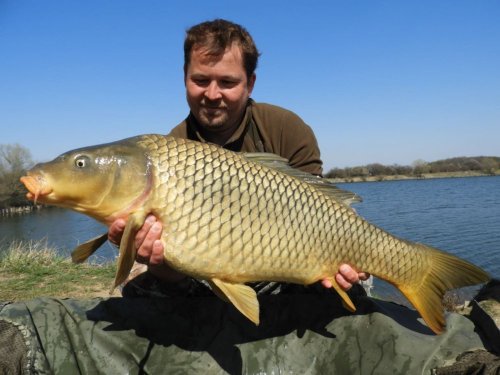 Neutrálně vyvážené boilies Calypso