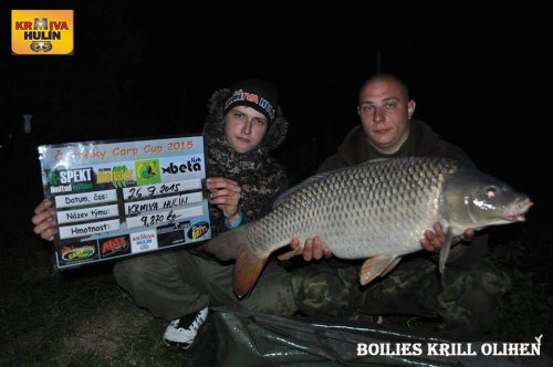 Boilies Krill/Oliheň