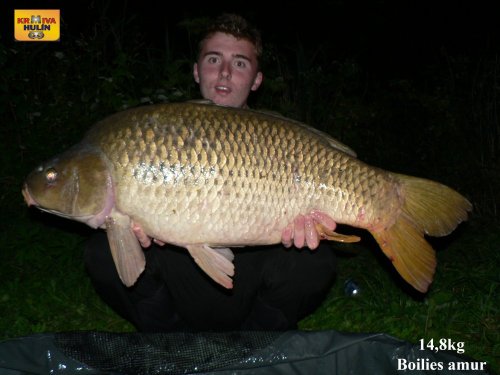 14,8kg, boilies amur, svazová voda