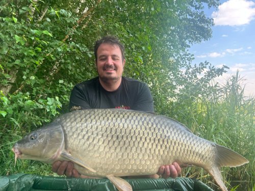 Boilies Mefisto