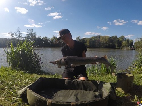 Pelety Black halibut krev, booster Calypso