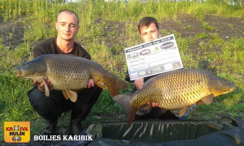 Boilies Karibik