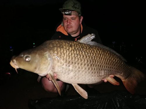 Boilies Calypso