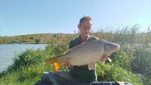 Boilies Pikantní perník
