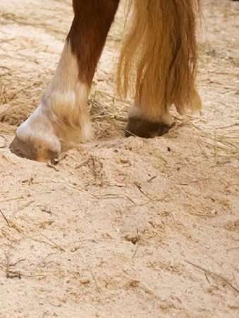 PODESTÝLKA ProBioBED SOFT hnědá - Jemná, sterilní - 350 L