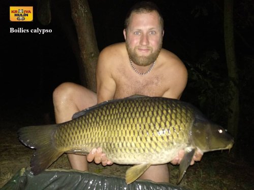 Boilies calypso