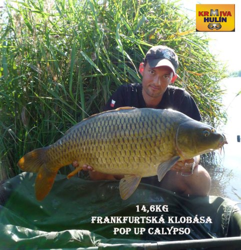 14,6kg, boilies Frankfurtská klobása, pop up Calypso
