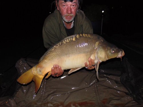 Boilies Calypso
