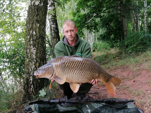 Boilies Krill/Oliheň, pop up Banán/Meruňka