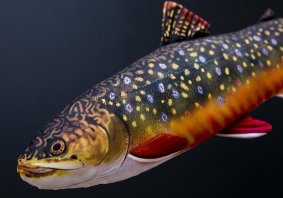 Plyšová ryba Gaby - SIVEN AMERICKÝ mini 35 cm