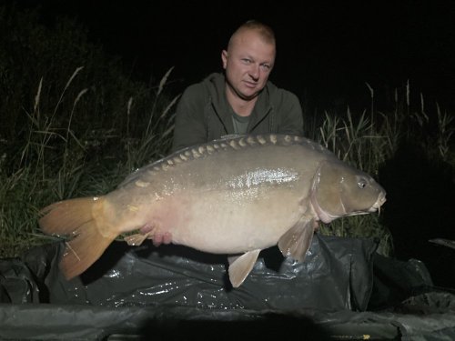 20+, boilies Krill a oliheň neutrálně vyvážené
