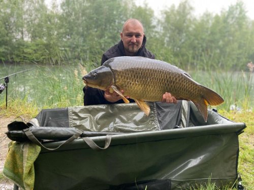 Boilies Pikantní krill