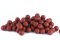 Boilies rozpustné - PIKANTNÍ KRILL - Ø 24 mm (Krmiva Hulín, BRPK24-1) | Krmiva Hulín