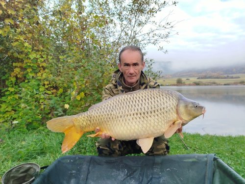 Boilies Švestka s česnekem