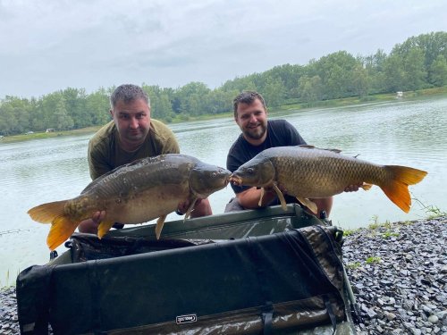 Boilies Pikantní krill