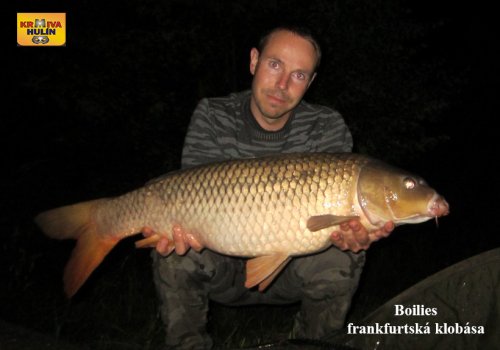 Boilies frankfurtská klobása