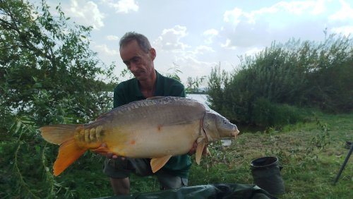 Boilies Mefisto